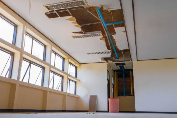 Best Water damage restoration process  in Sunnyvale, TX