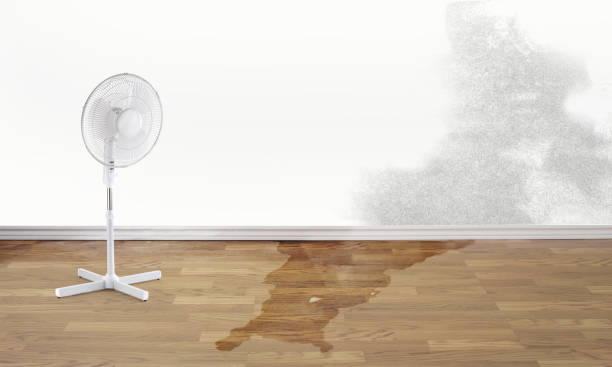 Best Water damage restoration company  in Sunnyvale, TX