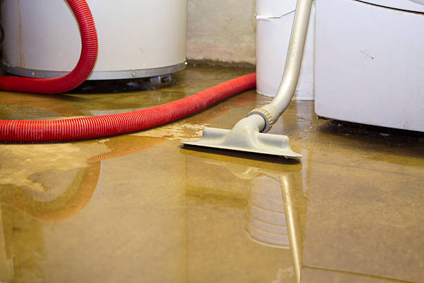 Best Commercial water damage restoration  in Sunnyvale, TX