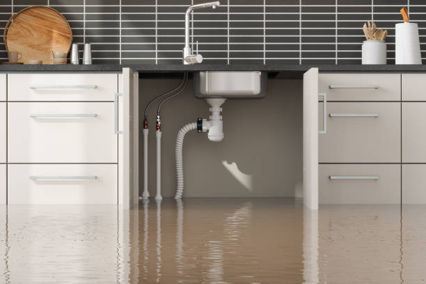 Best Flooded house restoration  in Sunnyvale, TX